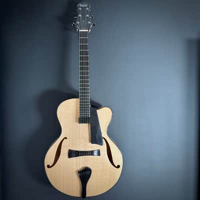 2025 Wald 17-inch Archtop - Brand New - Custom TRM Build Bild 3