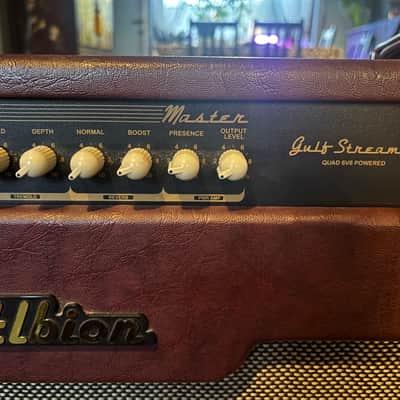 Full lampes boutique amps , Albion Gulfstream GS 30 combo 2015 image 11