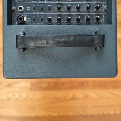 Schertler DAVID 100W Amplifier image 3