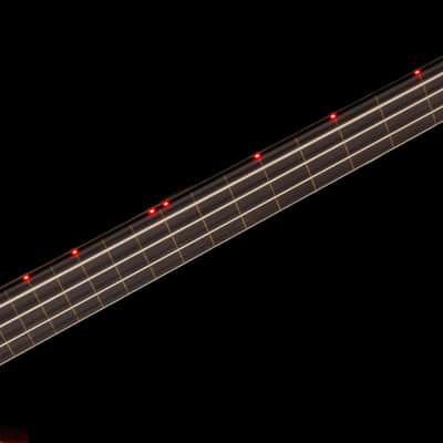 AMAZING Alembic Stanley Clarke Signature Deluxe Lined Fretless Bass image 4
