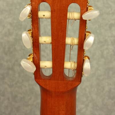 Alvarez AC60SC  Classical Acoustic/Electric Guitar with Hardshell Case image 4