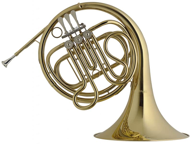 Stagg F Horn, 3 rotary valves, in form case image 1
