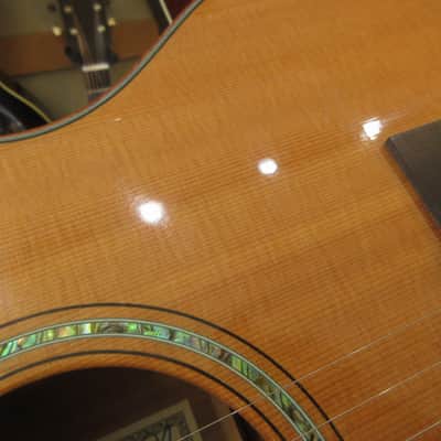 Morgan Concert Custom 2008 image 21