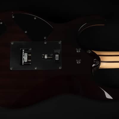 2020 Ibanez J. Custom RG8570Z-BRE with Ebony Fretboard - Black Rutile | Japan Custom Shop "AAA" Flame Top Tree of Life DiMarzio HSH Pickups Push/Pull Coil Split RG-8870 Upgrade | CoA OHSC image 11