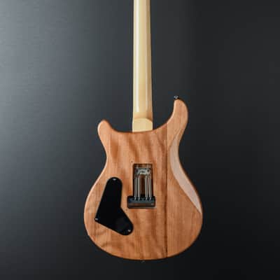 Paul Reed Smith SE Custom 24 '22 image 4