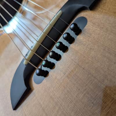 Alvarez-Yairi DYM74 Acoustic package, w/case, setup, & shipping image 2