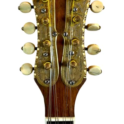 Flat-Back Mandolin Model Luxe Bruno Klemm 1890's / 1900's image 14