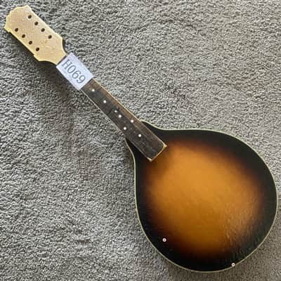 Sunburst 8 String Mandolin Project, Spruce Top, Mahogany Body, Rosewood Fingerboard image 1
