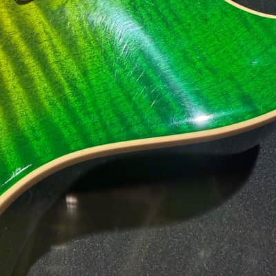 Gibson Custom Shop Les Paul Standard Iguana Burst image 6