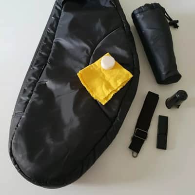 Alto Saxophone - Sax in Eb Gold Finish & Soft Case Complete Outfit By Chase~ image 9