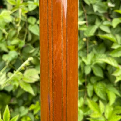 Gibson Firebird 2017 - Tobacco burst image 7