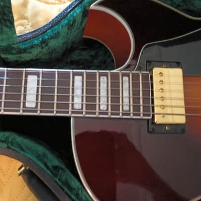 Grote Semi-hollowbody 2019 image 3