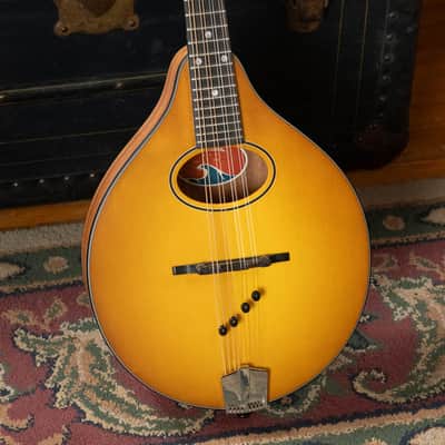 Eastman PCH-M104-GB Solid Spruce/Laminated Mahogany Goldburst Flattop A-Style Mandolin #0051 image 1