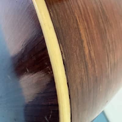 Vintage 1900s Lyon & Healy Parlor Guitar Finest Woods & Craftsmanship Moon Sun & Stars Inlay Ladder Braced Ditson Supertone Regal Lakeside image 13