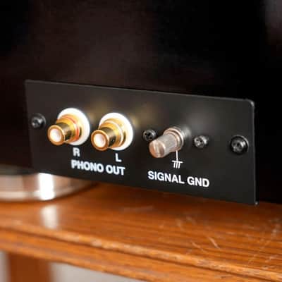 Denon DP-A100 100th Anniversary image 7