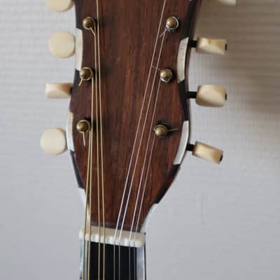 mandoline napolitaine a cotes creuses Giuseppe Serafino Garnotti image 6