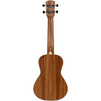Alvarez RU90CP Regent Concert Ukulele Pack Regular Natural image 3