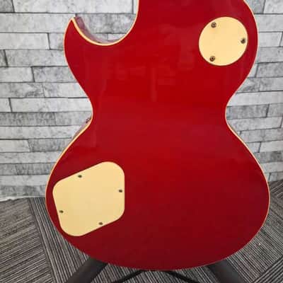 Arbor Les Paul Copy image 8