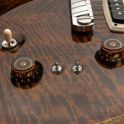 PRS Paul's Guitar Mango Top Limited Edition Electric Guitar w/Hardshell Case, Tiger Eyes image 5