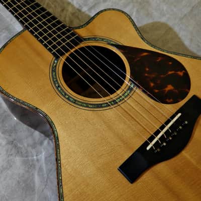 Kathy Wingert Model EVC - (Brazilian RW) image 5