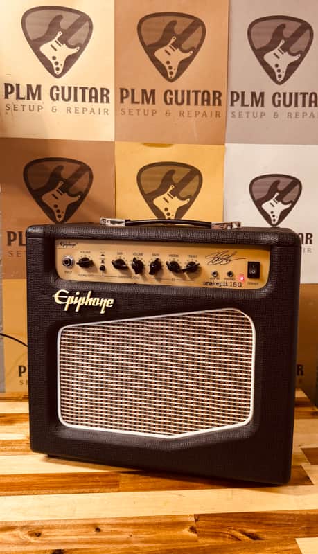 Epiphone Snakepit 15G Slash Amp image 1