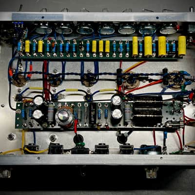 ON SALE! Death Cap Amps - Thylacine (Model T Tube Guitar Amp & Preamp) 2024 - Snake Skin Tolex image 10