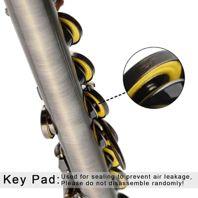 Closed Hole Flutes C 16 Key for Beginner, Kids, Student -Antique Flute with Case Stand and Cleaning kit image 2