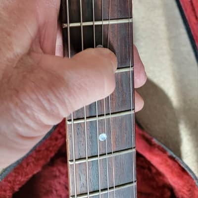 Hamer (USA) Duotone Standard 1995 - Goldtop image 8