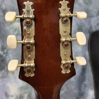 Vintage 1975 Epiphone FT-120 Japan Norlin Pro Setup New Strings Soft Shell Case image 10