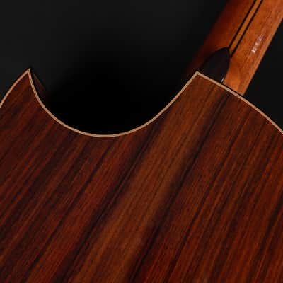 2018 Hanika Fusion PC - Natural | Made in Germany Professional Line Masterbuilt Classical Guitar Cedar Rosewood 50mm Nut Cutaway | CoA OHSC image 22