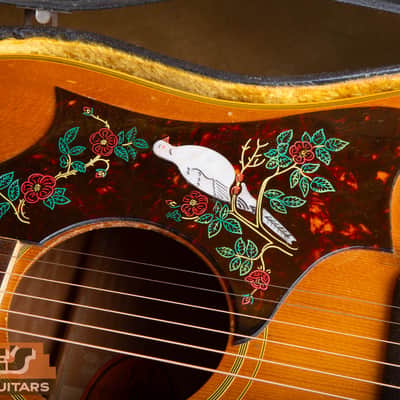Gibson Dove 1968 - Natural image 12