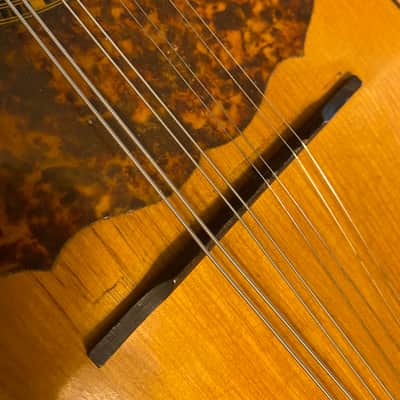 Unknown Bowlback Mandolin (needs nut) image 11