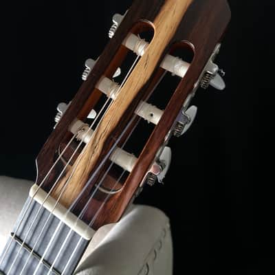 Zucq Giulia Nylon Crossover Classical Baggs Anthem Madagascar Rosewood image 12