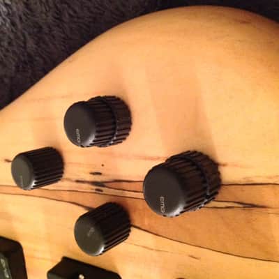 Spector Euro 6 EX Spalted Maple image 7