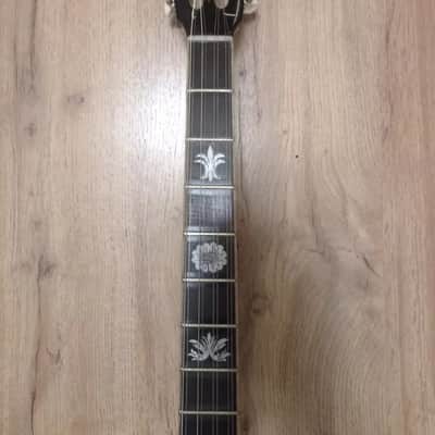 Greek bouzouki & Hardcase & pickup & tuner & 300 backing track with pdf scores 8 string image 7