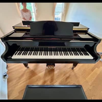 Elegant Wurlitzer Baby Grand Piano 4'11 image 1