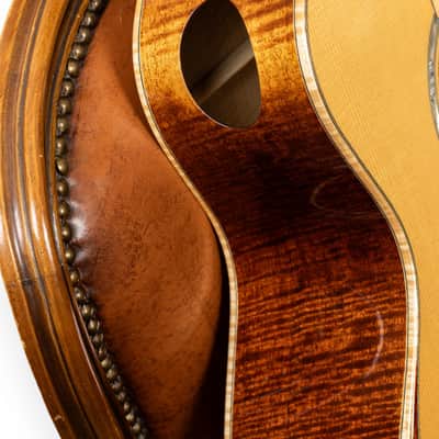 Eastman AC622CE image 10