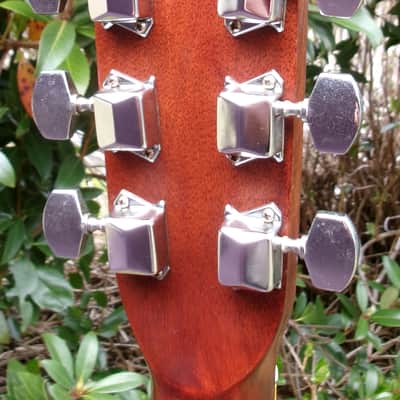 1974 Terada made Morris W25 Humming Bird Style image 10