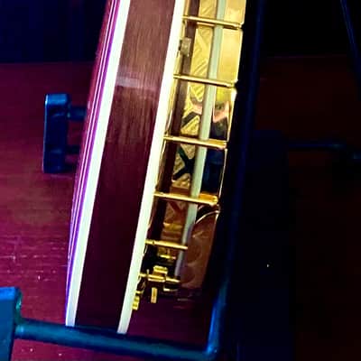 Tim Davis Banjos Mack Crowe Gold Engraved Bluegrass Banjo 2020 Mahogany image 8