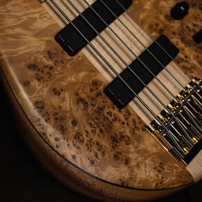 Fodera Imperial 5 Elite Poplar Burl End-2023 (10.5 lbs) image 7