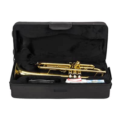 🎅🎄 For Pros and Beginners! Gold (Brass) Unmarked Trumpet with Case/Bag/Pack +Strap +Cloth! image 7