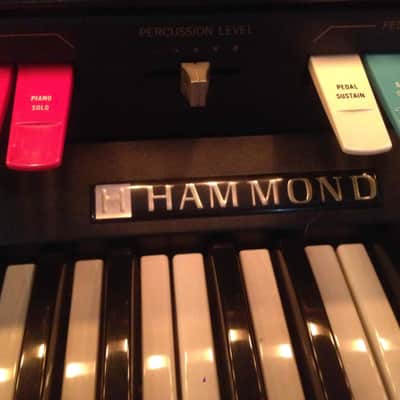 Hammond Aurora Classic image 1