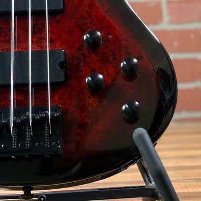ESP LTD B-204DX 4-String Electric Bass Guitar - Red Burst image 3