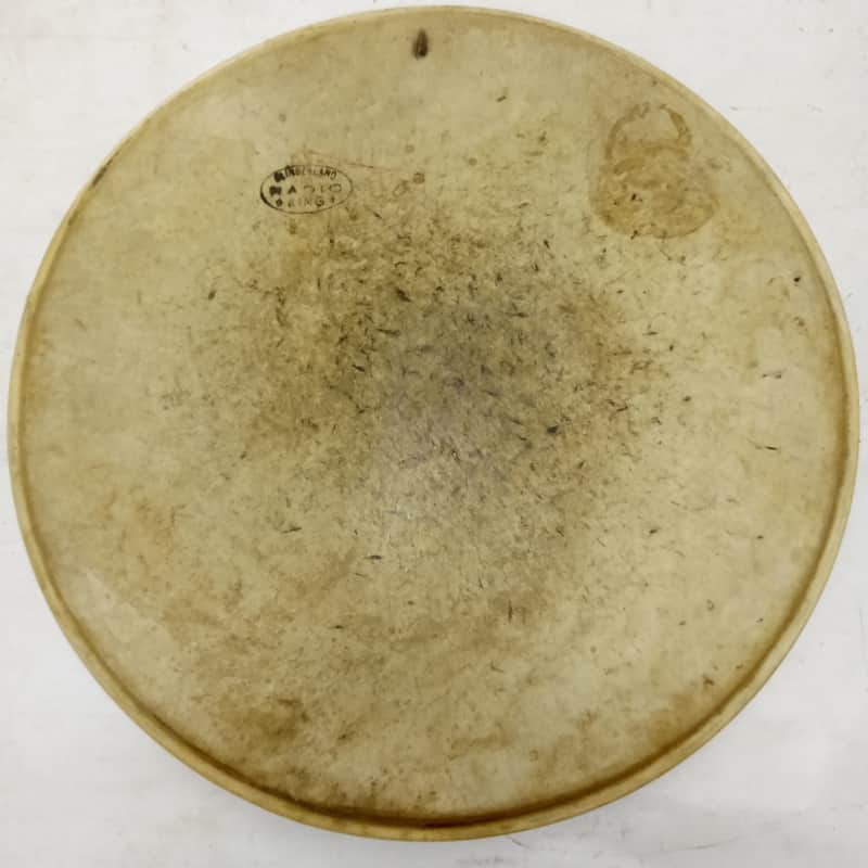 Slingerland 14"Radio King Calf Skin Snare/Floor Tom Drum Head Batter Vintage 40s image 1