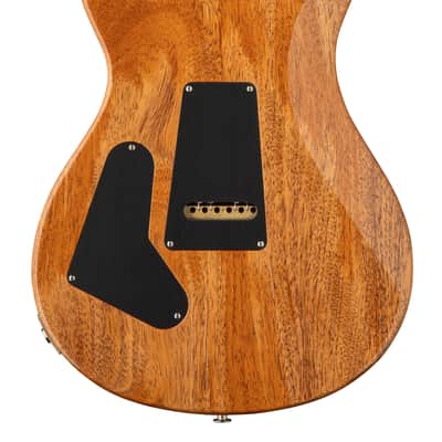 PRS Custom 24, Limited Birds of a Feather, Charcoal Microburst image 2