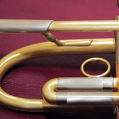 LOTUS Lotus LEAD/SOLO Brushed Lacquer (New) B♭ Trumpet image 4