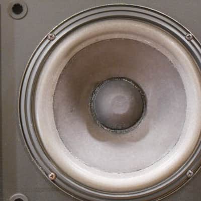 Bose 301 Series II, Lovingly Restored image 3