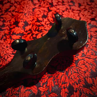 Rare 1920s Washburn Tenor Banjo Style E image 13