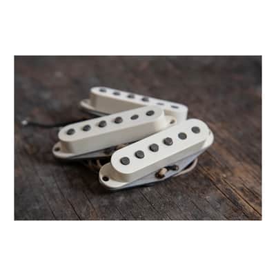 Seymour Duncan Joe Bonamassa '64 Greenburst Signed Strat Pickup Set 2025 image 4