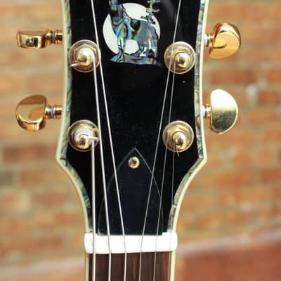Wolf Single Cut WLP750 Red Burst image 5